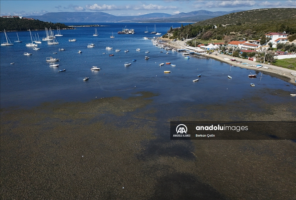 Seferihisar'da deniz yaklaşık 200 metre çekildi