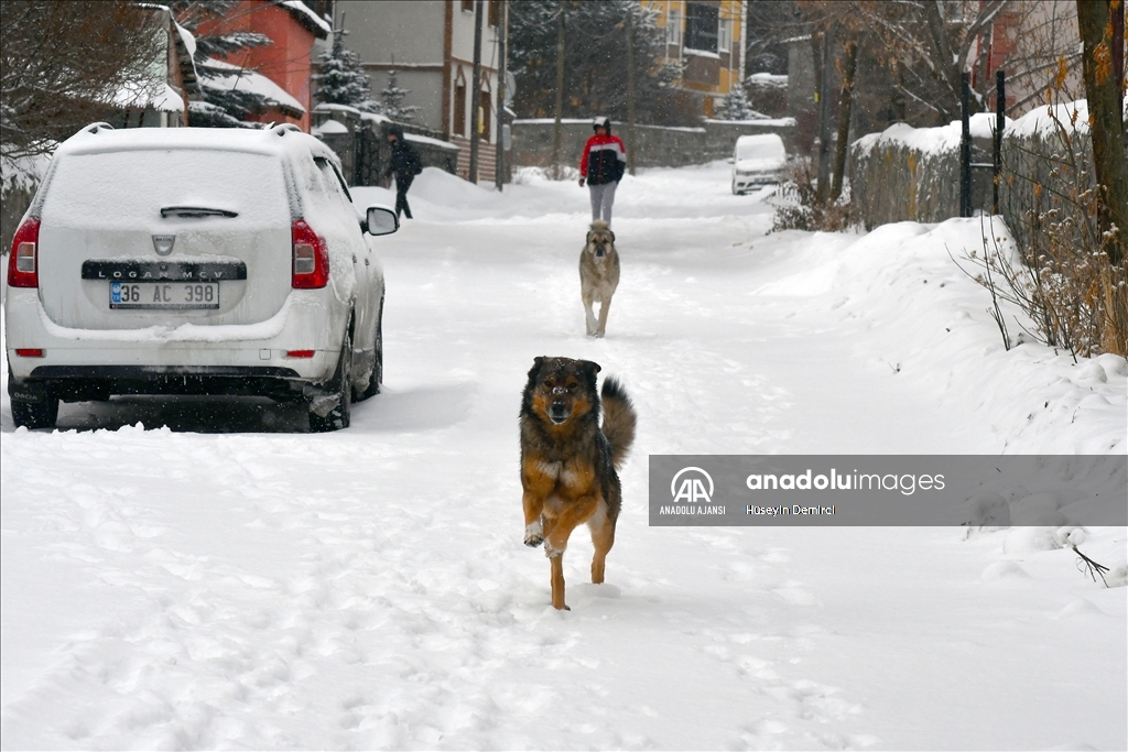 Kars'ta kar yağışı etkili oldu
