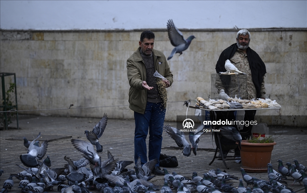 Suriye'nin başkenti Şam'da günlük yaşam