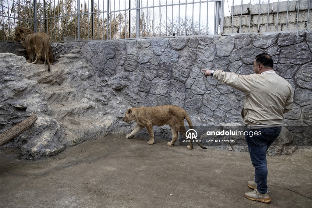 Şam’daki tek özel hayvanat bahçesi kapılarını açtı