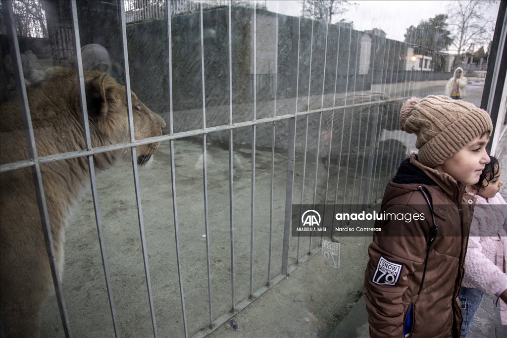 Şam’daki tek özel hayvanat bahçesi kapılarını açtı