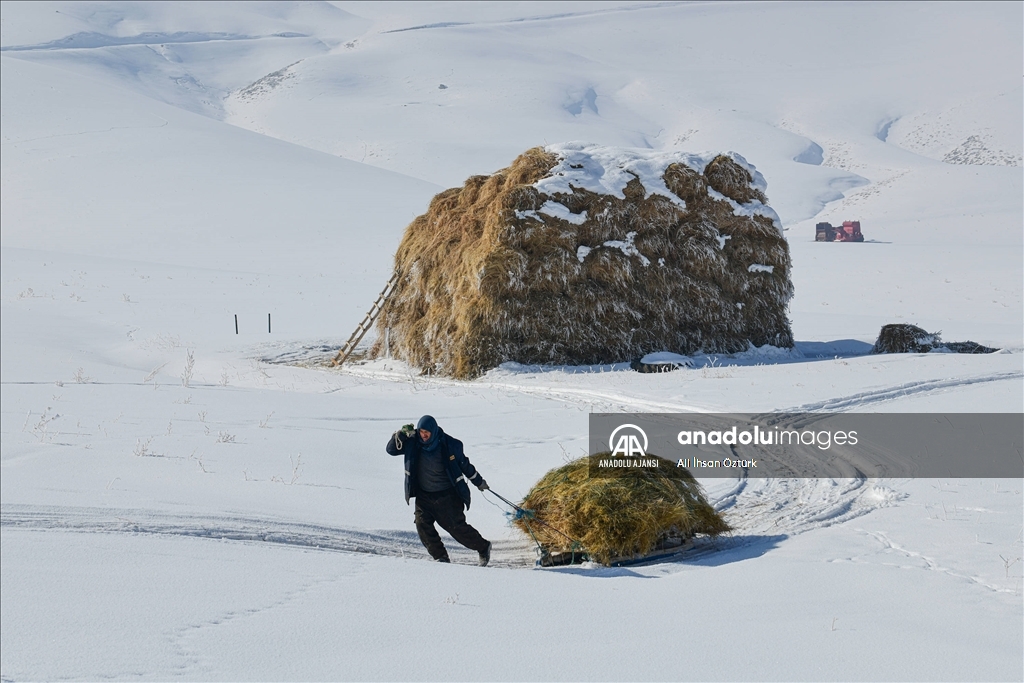Doğu Anadolu’da yaşayan besicilerin zorlu kış mesaisi