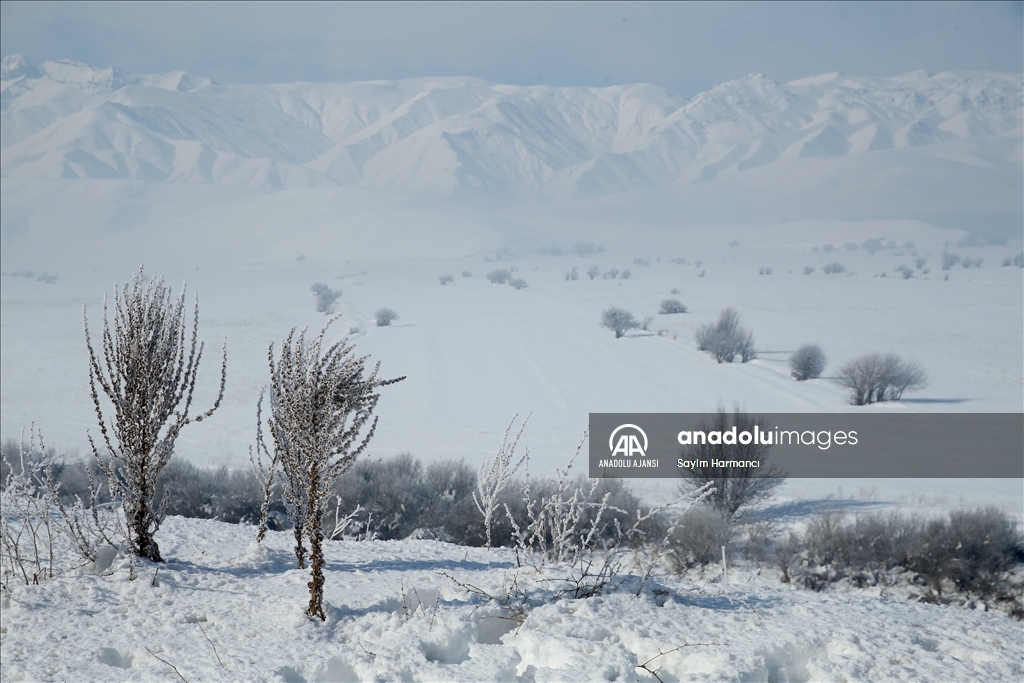 Hakkari'de soğuk hava etkili oldu