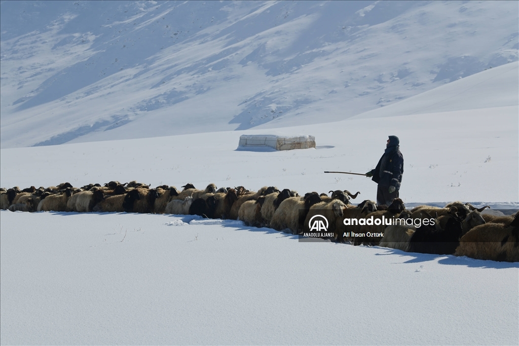 Doğu Anadolu’da yaşayan besicilerin zorlu kış mesaisi