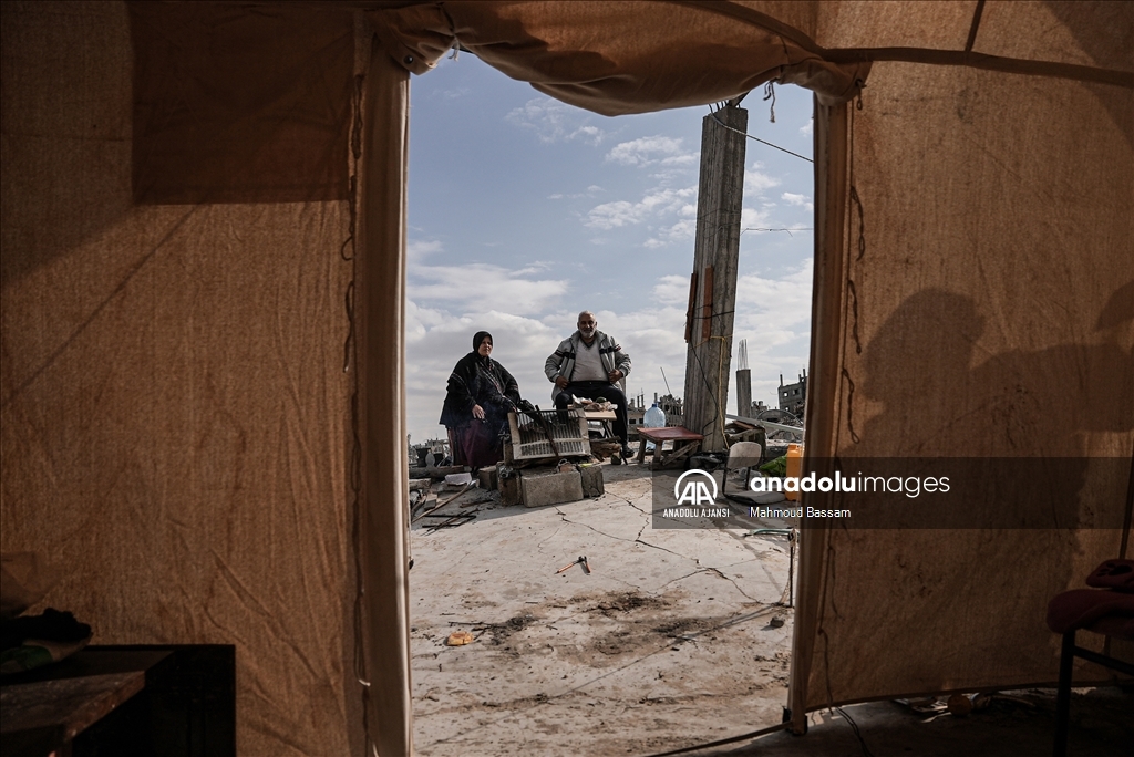 Ateşkesin ardından Gazze'de günlük yaşam