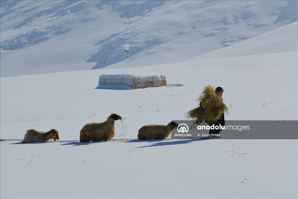 Doğu Anadolu’da yaşayan besicilerin zorlu kış mesaisi