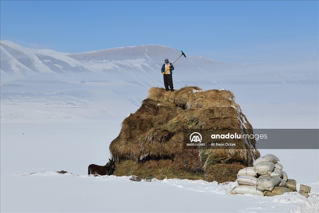 Doğu Anadolu’da yaşayan besicilerin zorlu kış mesaisi