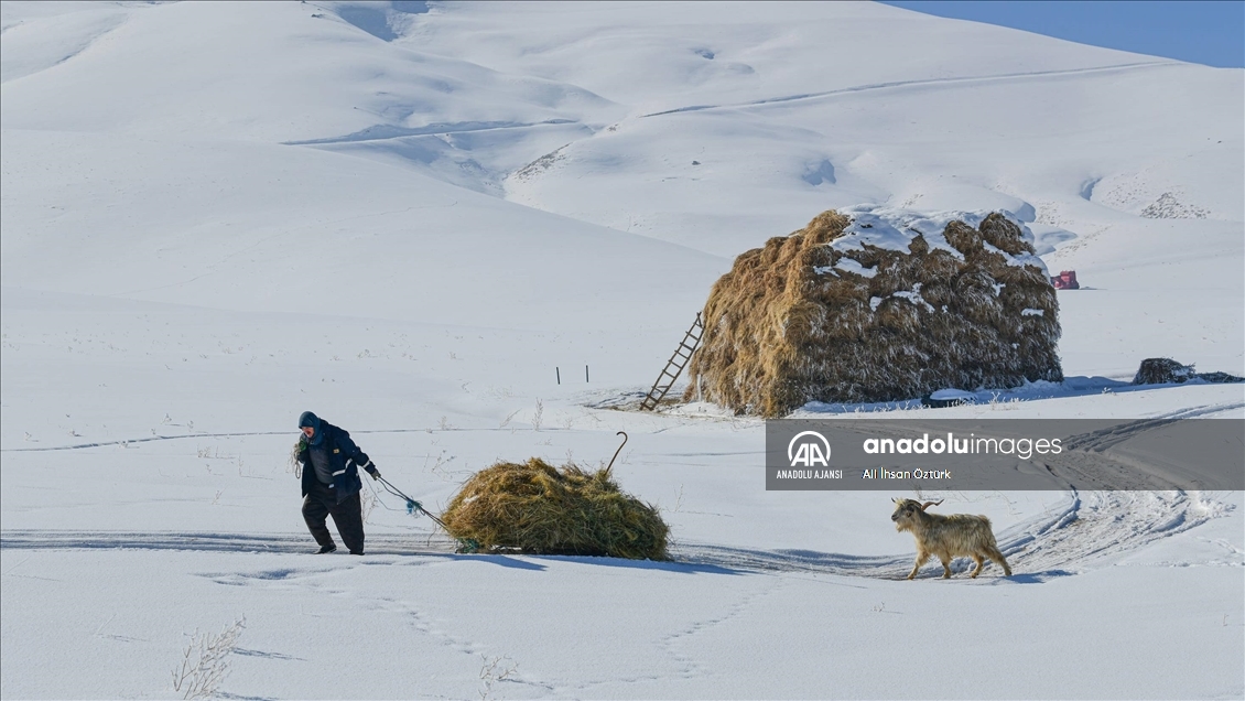 Doğu Anadolu’da yaşayan besicilerin zorlu kış mesaisi