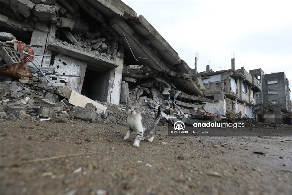 Ateşkesin ardından Gazze'de günlük yaşam