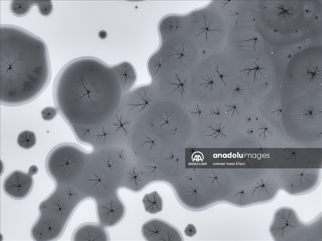 New York'ta kar yağışı etkili oldu