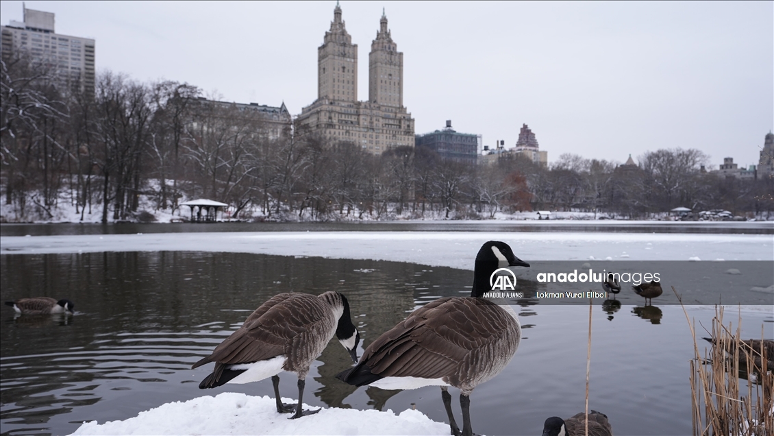New York'ta kar yağışı etkili oldu