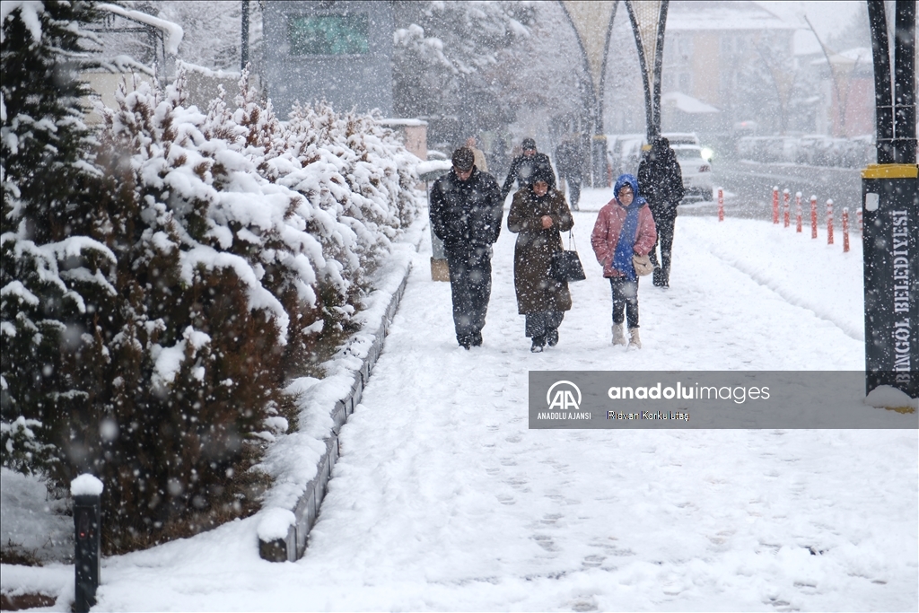 Bingöl'de kar yağışı