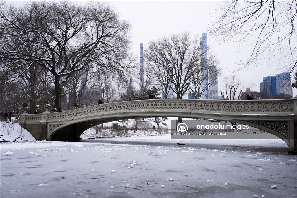 New York'ta kar yağışı etkili oldu