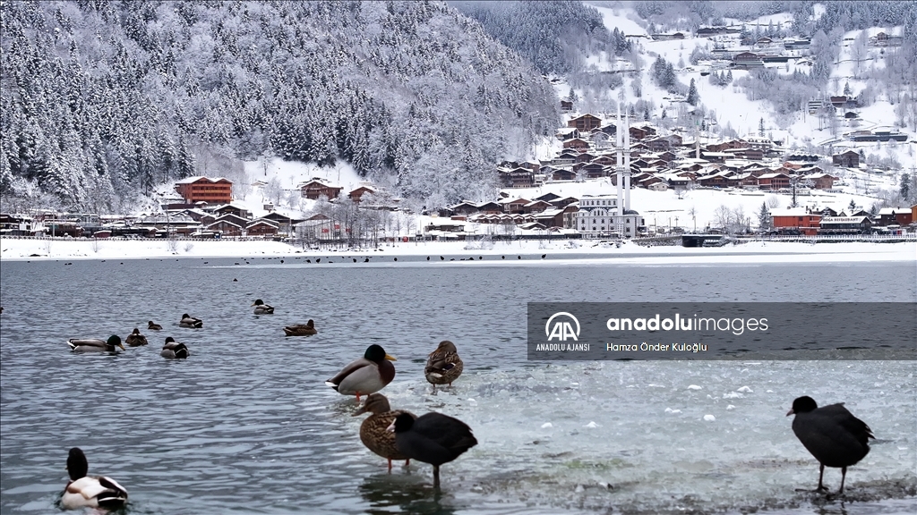 Uzungöl'ün yüzeyi buz tuttu