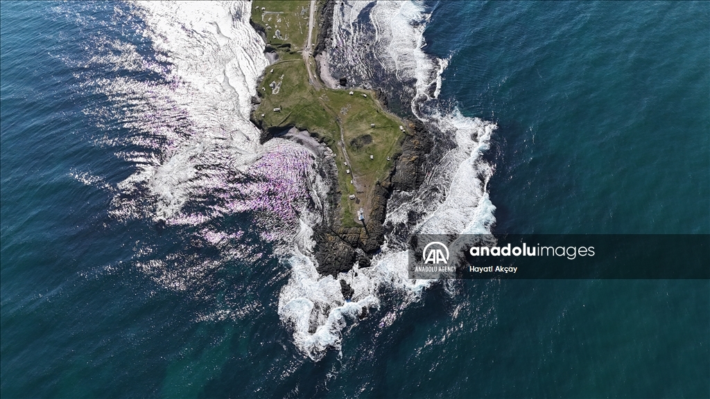 An aerial views of Cape Yason in Turkiye