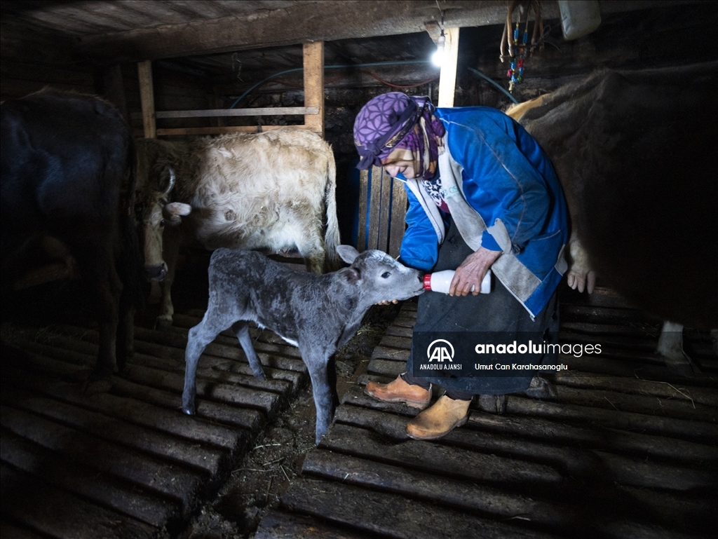 Artvin'in ahşap evleriyle öne çıkan Maden Köyünde kış mevsimi