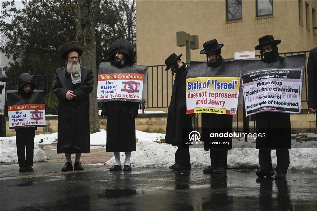 Пропалестинские активисты устроили акцию протеста в США