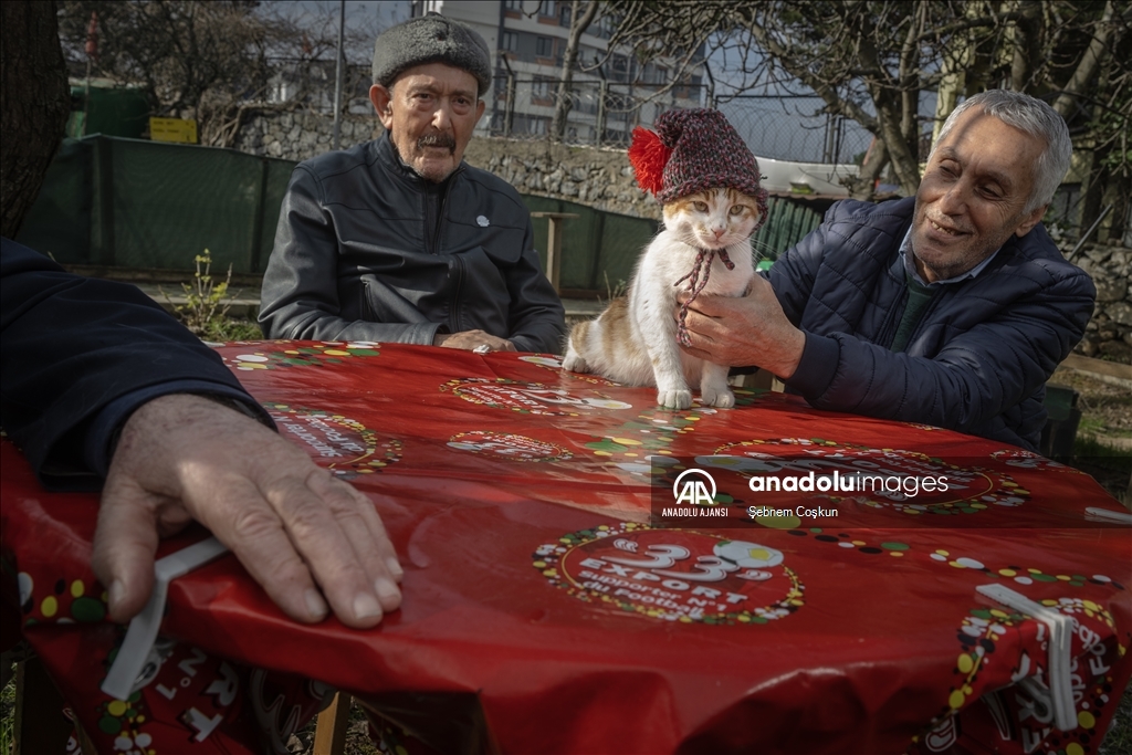 Huzurevi sakinleri patili dostları için