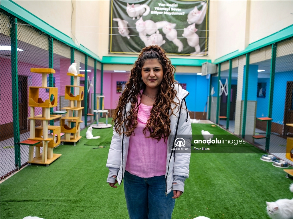 "فيلا القطط" بتركيا.. تجربة فريدة لعشاق قطط "وان" الشهيرة