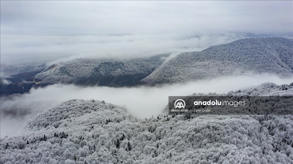 Snowy weather in Turkiye’s Mount Bolu