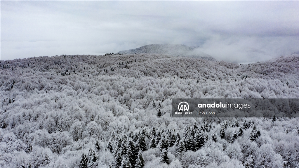 Snowy weather in Turkiye’s Mount Bolu