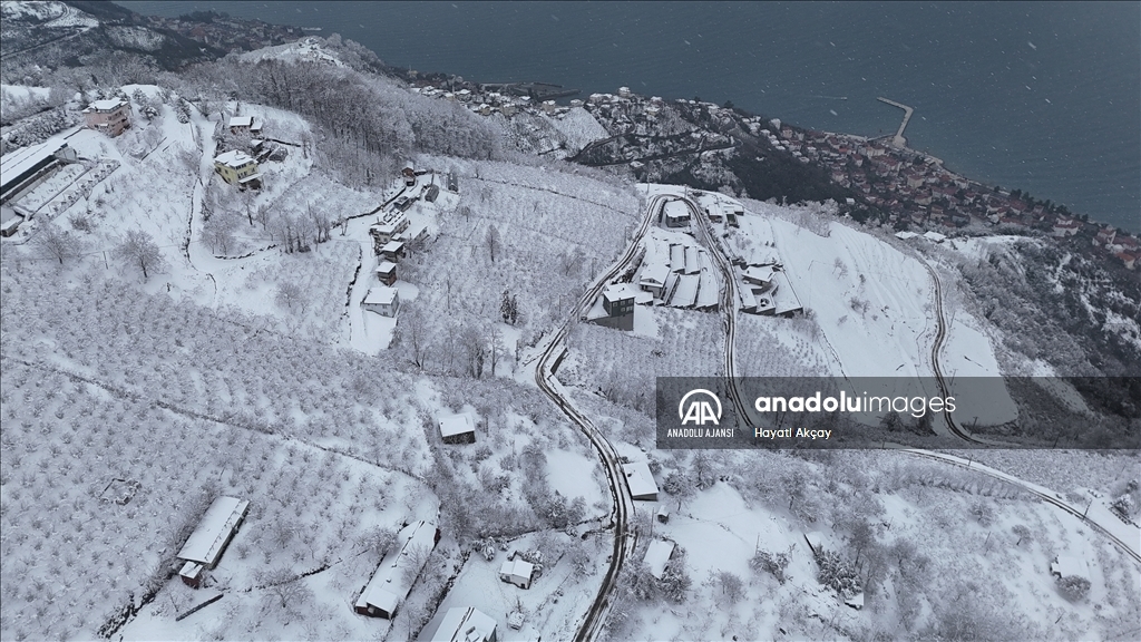 Ordu'da kar yağışı
