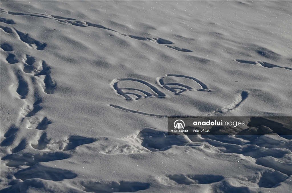 Edmonton ve Batı Kanada'da aşırı soğuklar etkili oluyor 