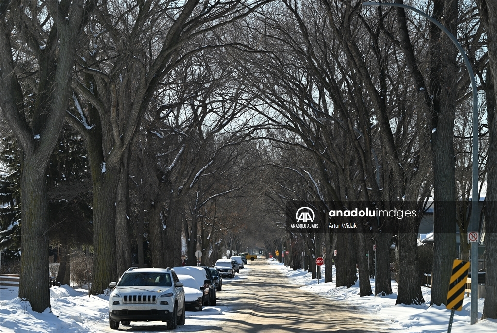 Edmonton ve Batı Kanada'da aşırı soğuklar etkili oluyor 