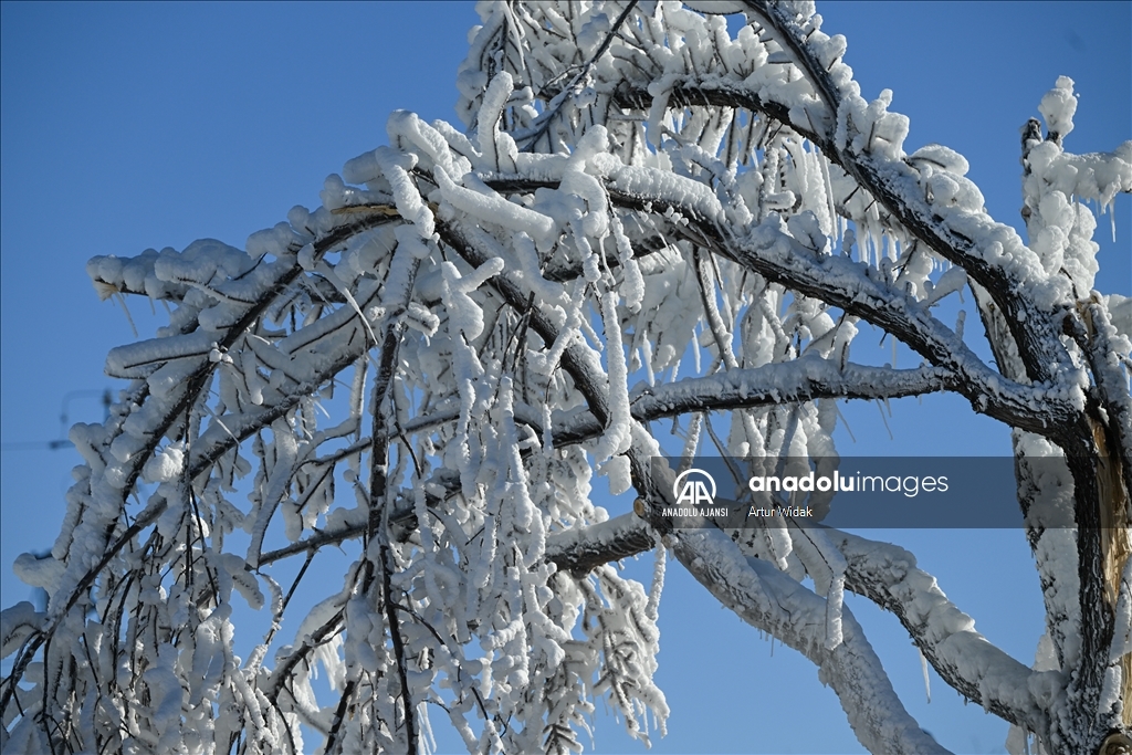 Edmonton ve Batı Kanada'da aşırı soğuklar etkili oluyor 