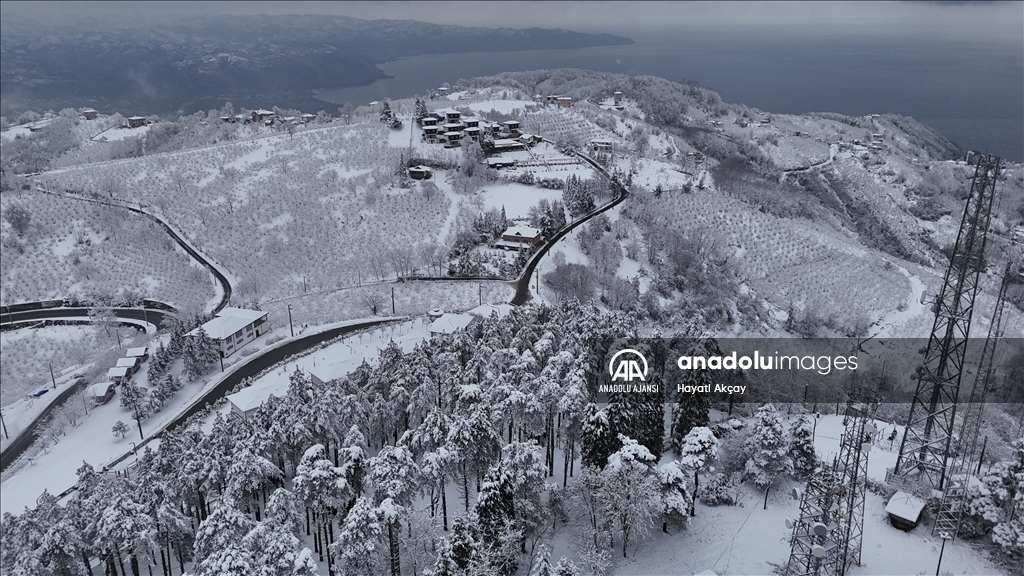 Ordu'da kar yağışı