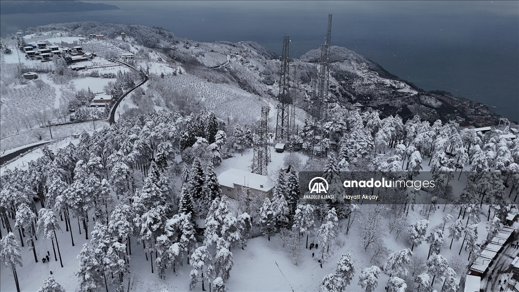 Ordu'da kar yağışı
