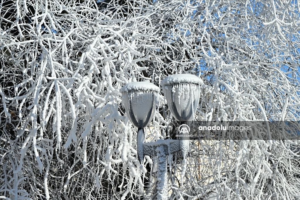 Edmonton ve Batı Kanada'da aşırı soğuklar etkili oluyor 