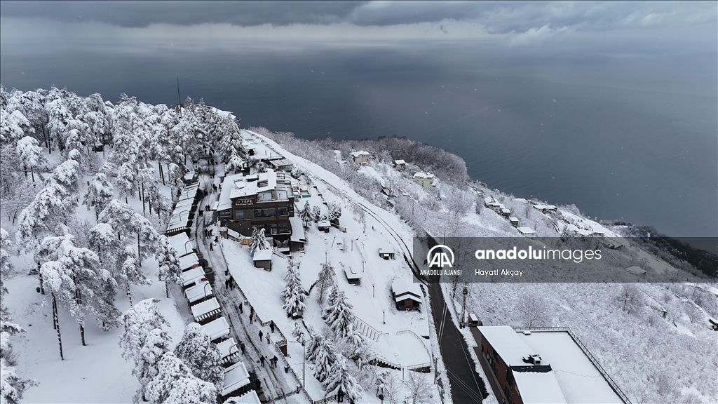 Ordu'da kar yağışı