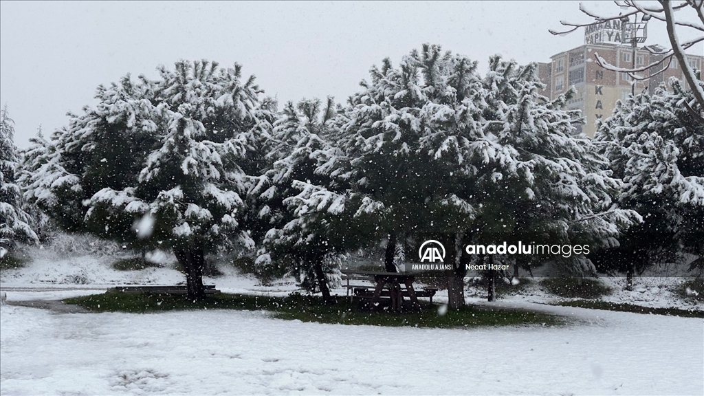 İstanbul'da kar yağışı