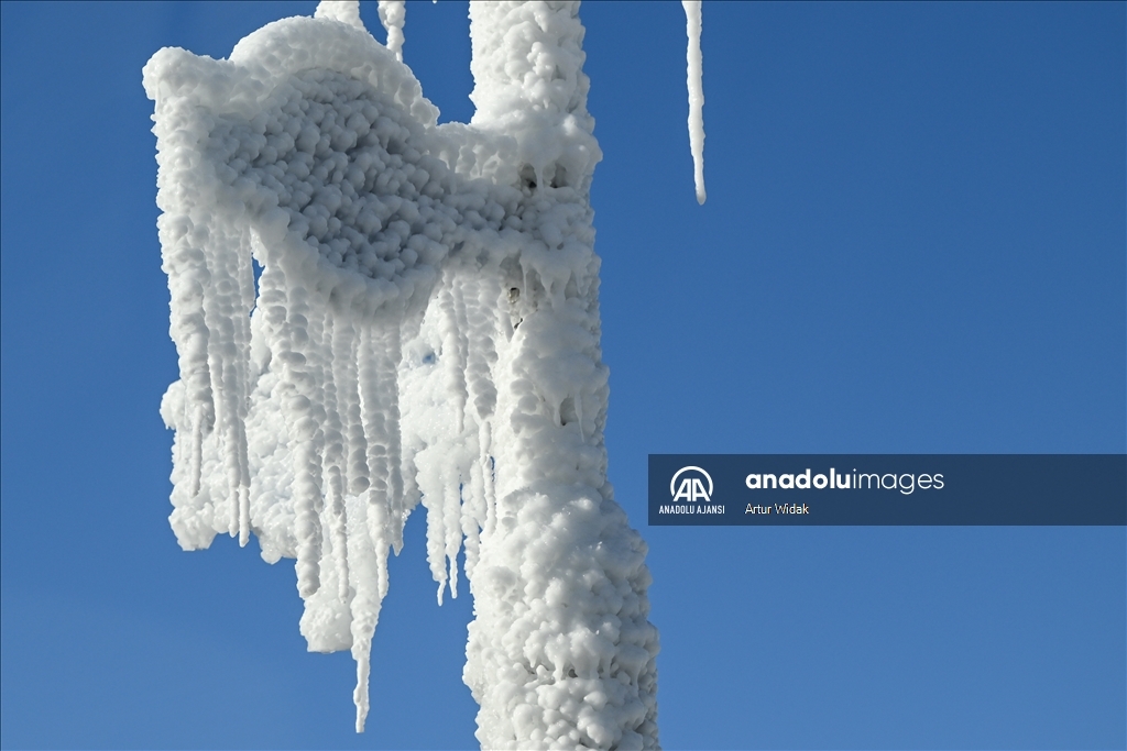 Edmonton ve Batı Kanada'da aşırı soğuklar etkili oluyor 