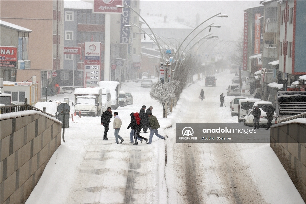 Ağrı'da kar yağışı etkili oldu