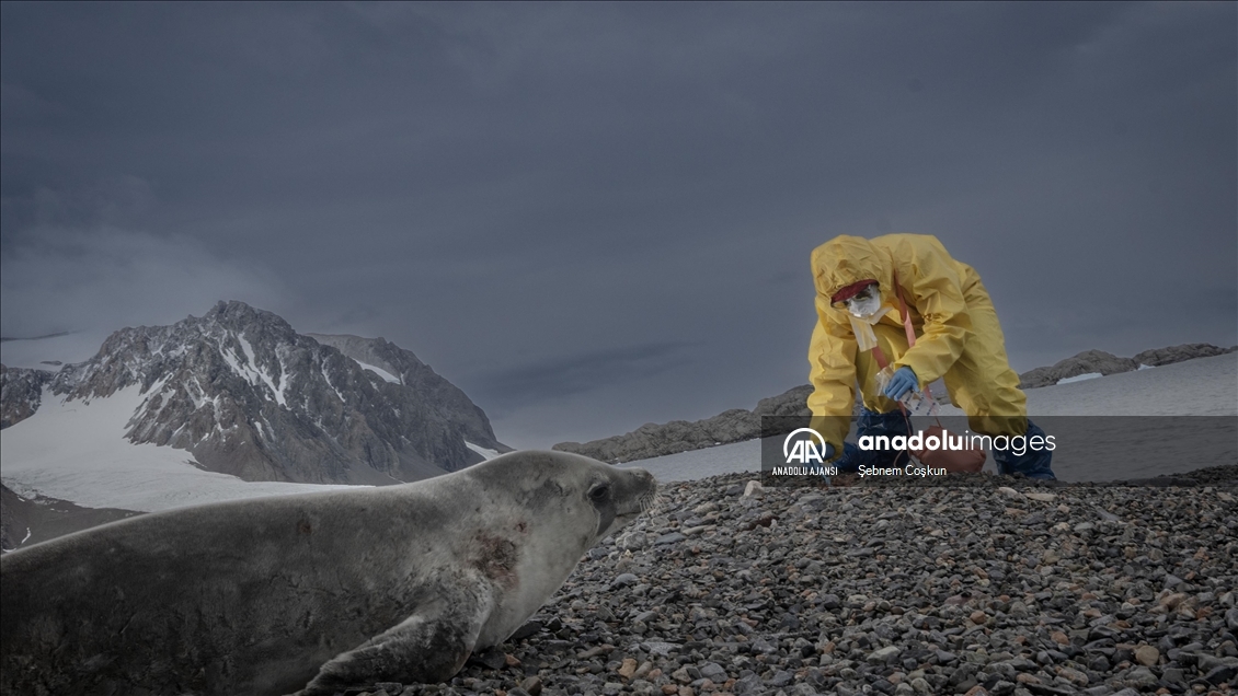 Antarktika Türk Bilimsel Araştırma Kampı'nda çalışmalar başladı