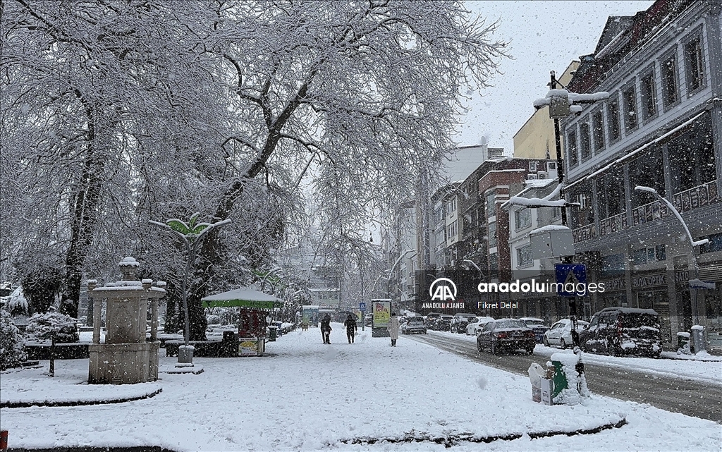 Rize'de kar yağışı etkili oldu