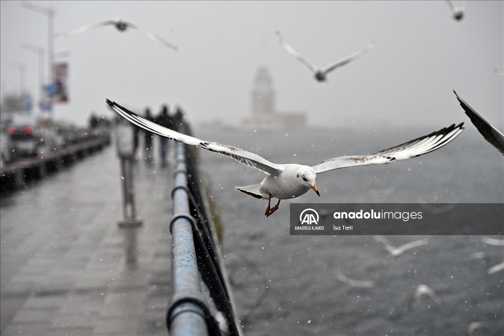 İstanbul'da kar yağışı aralıklarla sürüyor