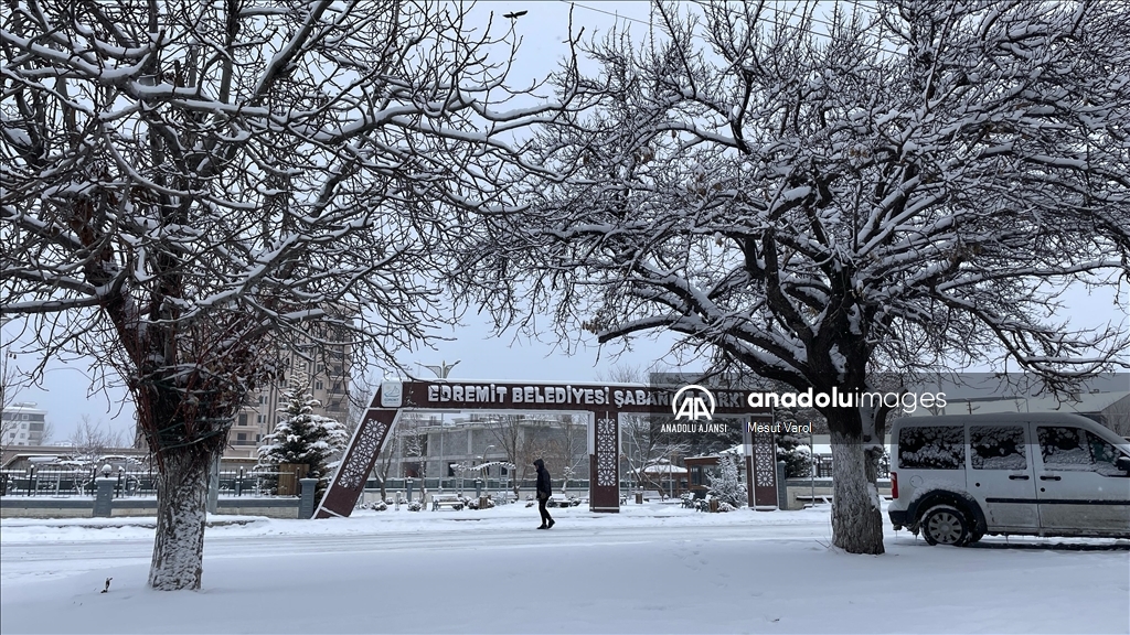 Van'da kar yağışı