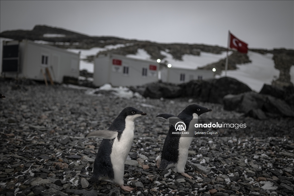 Antarktika Türk Bilimsel Araştırma Kampı'nda çalışmalar başladı