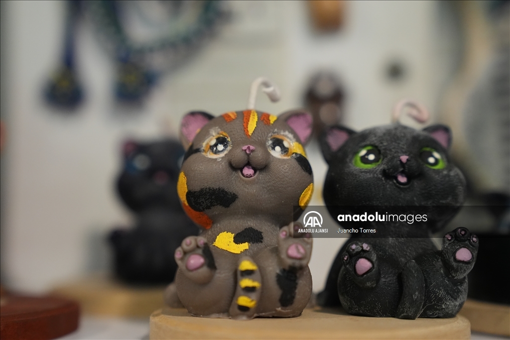 Bogota'da "Kedi Günü", Calico Kedi Kafe'de kutlandı