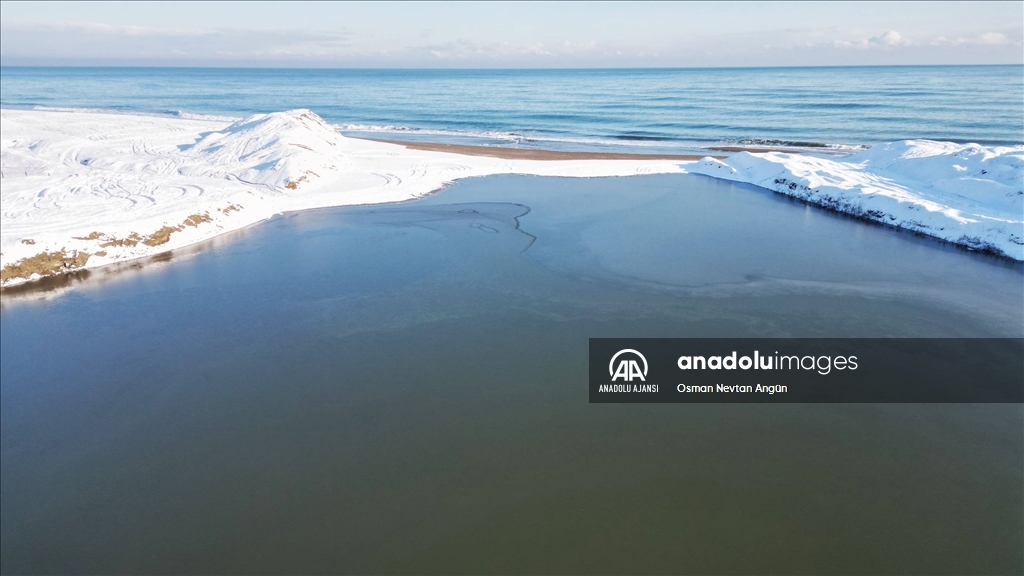 Sakarya'da göl ve su kanalının yüzeyi buz tuttu