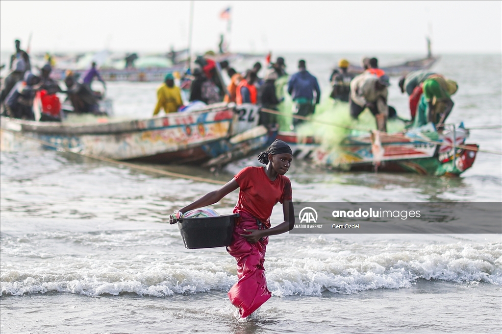 Les eaux fertiles de l'Afrique de l'Ouest abritent une biodiversité marine riche et des zones de pêche productives