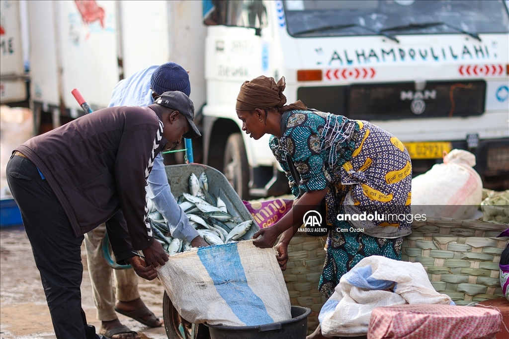 Les eaux fertiles de l'Afrique de l'Ouest abritent une biodiversité marine riche et des zones de pêche productives