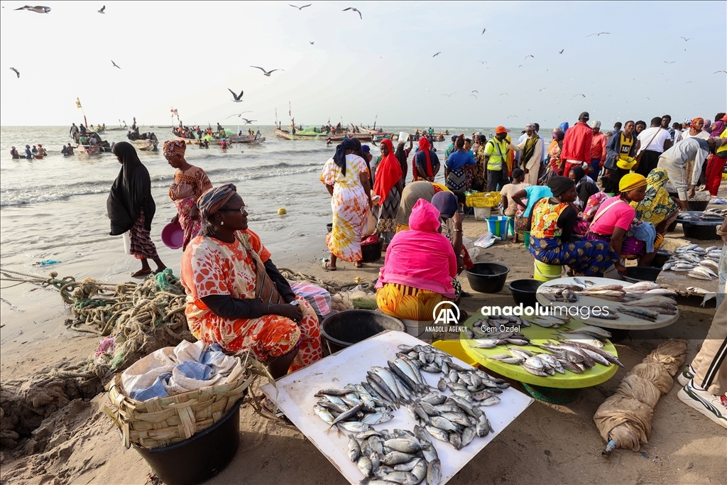 Fishing life at Tanji Beach: Rich marine biodiversity, productive fisheries