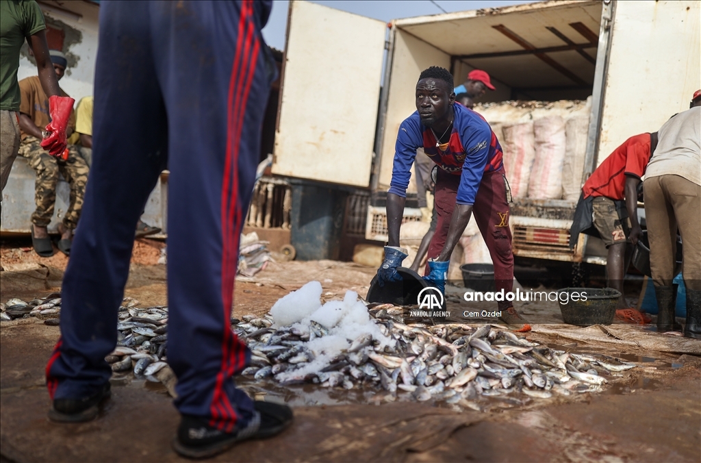 Les eaux fertiles de l'Afrique de l'Ouest abritent une biodiversité marine riche et des zones de pêche productives
