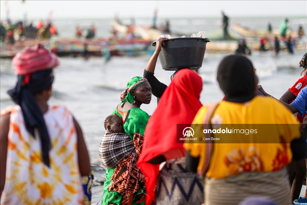 Les eaux fertiles de l'Afrique de l'Ouest abritent une biodiversité marine riche et des zones de pêche productives