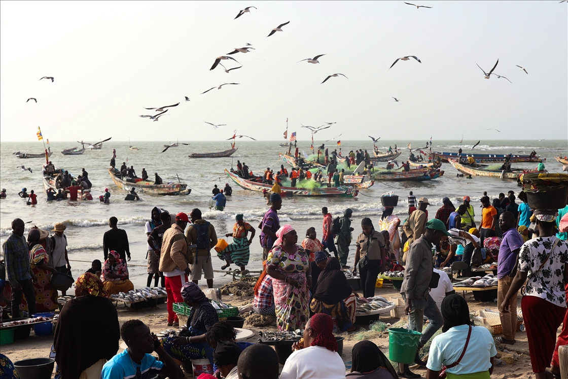 Les eaux fertiles de l'Afrique de l'Ouest abritent une biodiversité marine riche et des zones de pêche productives