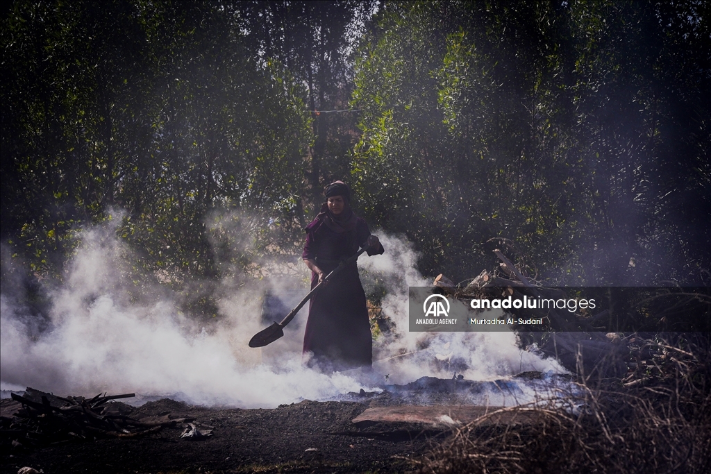 Iraq's charcoal makers: Battling poverty and limited resources